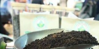 Compost ed energia, i numeri del riciclo organico in Italia
