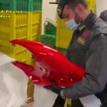 Padova, furto e ricettazione ricambi moto: GdF esegue due misure cautelari Finanza Padova furto e ricettazione ricambi moto