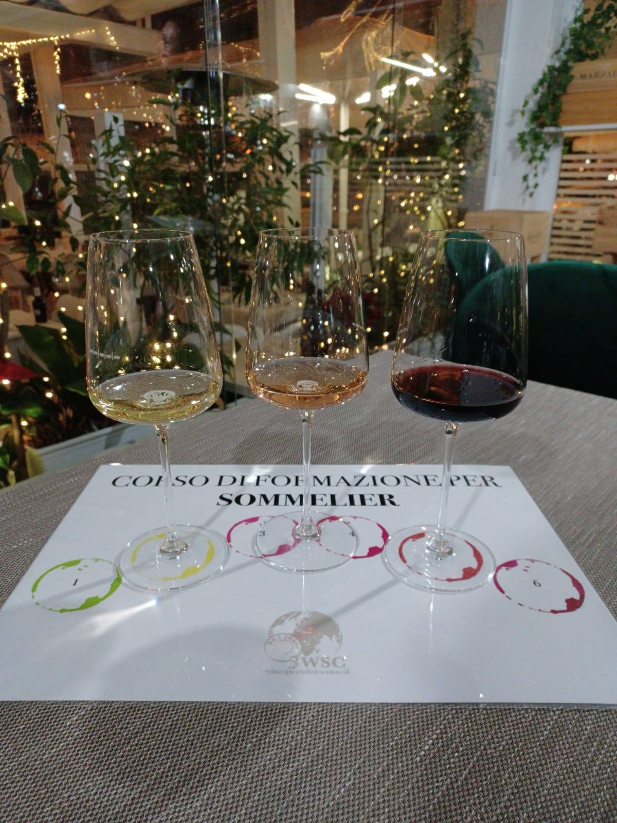 Natale per il Wine Specialists Journal