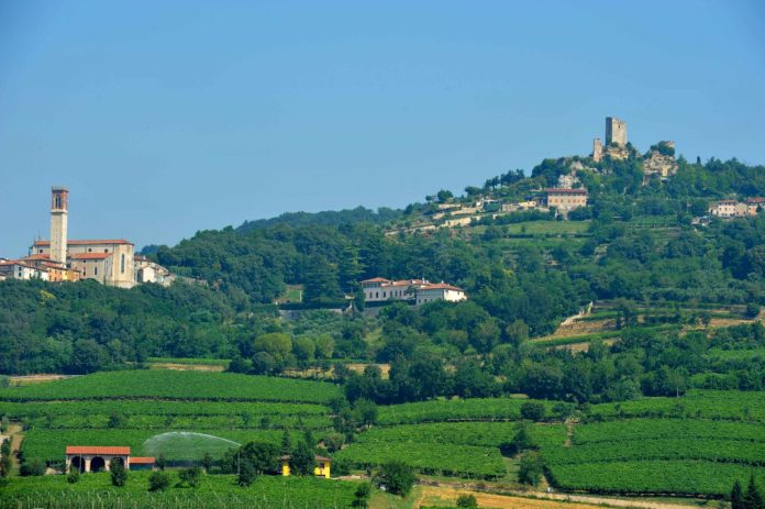 Tra i Colli Veneti i Colli Berici