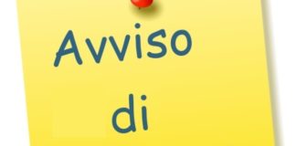 Avviso di mobilità per la copertura a tempo indeterminato e pieno profilo professionale tecnico categoria C Funzioni Locali provincia Vicenza avviso_di_mobilita