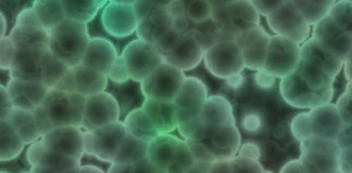 100 mila euro per aiutare affetti da Sindrome di Sjögren. Bigon: “così, il Consiglio regionale amplia il numero dei beneficiari” Sindrome di Sjögren: Fondazione Cesare Serono. I microbatteri forse causa della malattia.