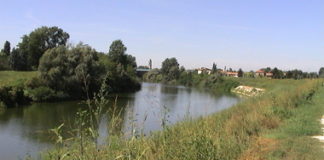 Brenta, Baldin (M5S): “Niente fondi aggiuntivi dal governo Meloni per lo sbarramento al cuneo salino” brenta