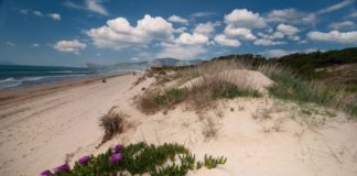 Duna e spiaggia di Capratica (Fondi): tassello della biodiversità europea Duna e spiaggia di Capratica.