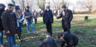 Riforestazione urbana a Vicenza, da oggi 40 nuovi alberi in Valletta del Silenzio