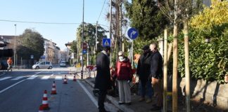 Nuovi alberi in via Carpioni, nel quartiere di Sant’Andrea a Vicenza