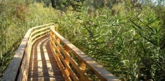 Affidata al Wwf la gestione dell’Oasi di Casale e del bosco di ponte del Quarelo a Vicenza oasi Casale