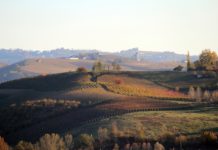 Vini del Piemonte: Nizza DOCG e Barolo DOCG al Wine Specialists Journal Il Piemonte tra Langhe, Barolo e Barbera