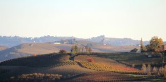 Vini del Piemonte: Nizza DOCG e Barolo DOCG al Wine Specialists Journal Il Piemonte tra Langhe, Barolo e Barbera
