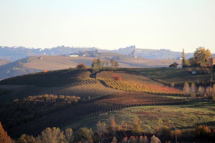 Il Piemonte tra Langhe, Barolo e Barbera