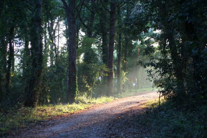 Sentiero del Parco Nazionale del Circeo.