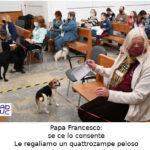 Papa Francesco contro coppie senza figli ma con cani e gatti, Aduc: “le regaliamo un quattrozampe peloso”