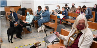 Papa Francesco contro coppie senza figli ma con cani e gatti, Aduc: “le regaliamo un quattrozampe peloso”