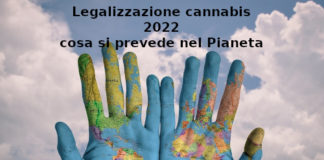 Legalizzazione cannabis, Aduc: “cosa accadrà nel mondo nel 2022” cannabis legale nel mondo 2022