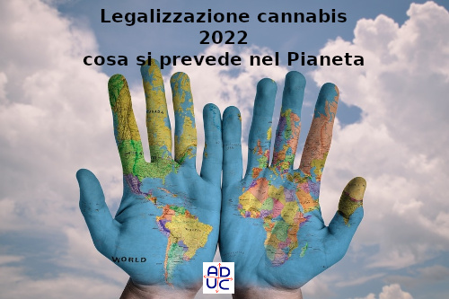 cannabis legale nel mondo 2022