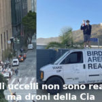 Credere all’incredibile, Aduc: “Gli uccelli non sono reali ma droni della Cia” uccelli