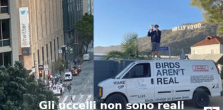 Credere all’incredibile, Aduc: “Gli uccelli non sono reali ma droni della Cia” uccelli