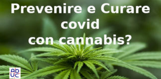 Prevenire e curare covid con cannabis? Aduc: quanto si fa e quanto non si fa causa stigmatizzazione Cannabis e covid