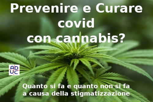 Cannabis e covid