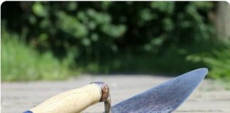 Bonus Edilizio 110%, Meritocrazia Italia: qualcosa non sta funzionando Bonus Edilizi