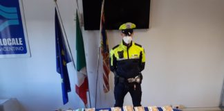 Sostanze stupefacenti, Polizia Locale Nordest Vicentino: arrestato nel Thienese per spaccio e detenzione ai fini di spaccio Polizia Locale Nordest Vicentino