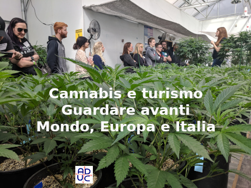 Cannabis e turismo