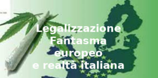Legalizzazione cannabis, Aduc: fantasma europeo e realtà italiana Legalizzazione cannabis