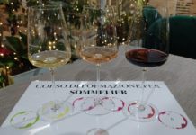 Vini del Trentino Alto-Adige a Capodanno. “Wine Specialists Journal”: tra metodo classico e taglio bordolese Auguri dalla Wine Specialists Council