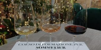 Vini del Trentino Alto-Adige a Capodanno. “Wine Specialists Journal”: tra metodo classico e taglio bordolese Auguri dalla Wine Specialists Council