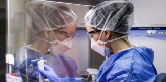 Batteri: si muore di quegli resistenti agli antibiotici non solo di virus come il Covid Batteri resistenti agli antibiotici, prove di laboratorio