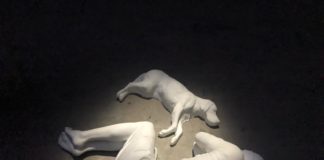 Oscurità, presenze, impatti. “Filosofia in Agorà”: la mostra Breath Ghost Blind di Maurizio Cattelan a Milano Cattelan, Breath, Cane e uomo