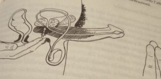 Controllare l’eiaculazione, la sessuologia divulgata da Luigi Jodice: il punto da un milione di dollari o metodo delle tre dita Eiaculazione, come ritardarla col metodo delle tre dita