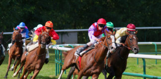 Le scommesse ippiche hanno generato 18 milioni di euro nel 2021 Scommesse ippiche