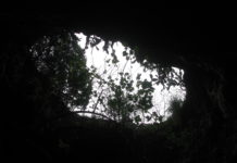 Antri dimenticati: l’ormai inaccessibile Grotta di San Silviano sul Circeo L'ingresso alla Grotta di San Silviano sul Circeo.