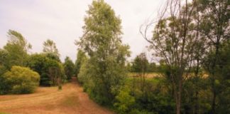 Bosco urbano di Carpaneda, alla Cia di Vicenza il servizio di gestione e manutenzione