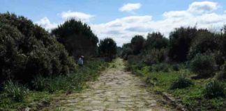 Da Fiumicino a Terracina: il tracciato dell’antica Via Severiana L'antica Via Severiana.