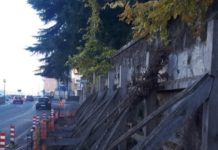 Viale Risorgimento Vicenza, 35 mila euro per sistemare muro e marciapiede viale risorgimento a Vicenza