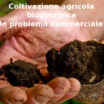 Coltivazione agricola biodinamica, Aduc:: un problema commerciale?