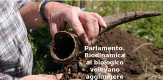 Parlamento. Biodinamica, Primo Mastrantoni (Aduc): al biologico volevano aggiungere le forze eterico astrali Biodinamica, agricoltura biologica e non solo