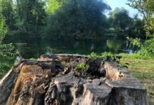 Contratto di fiume Garigliano, parla Gianluca Grossi (Università Cassino e responsabile CTS): un’opportunità per la salvaguardia del territorio naturale Area naturale Garigliano: Laghetto Parco dei Mulini