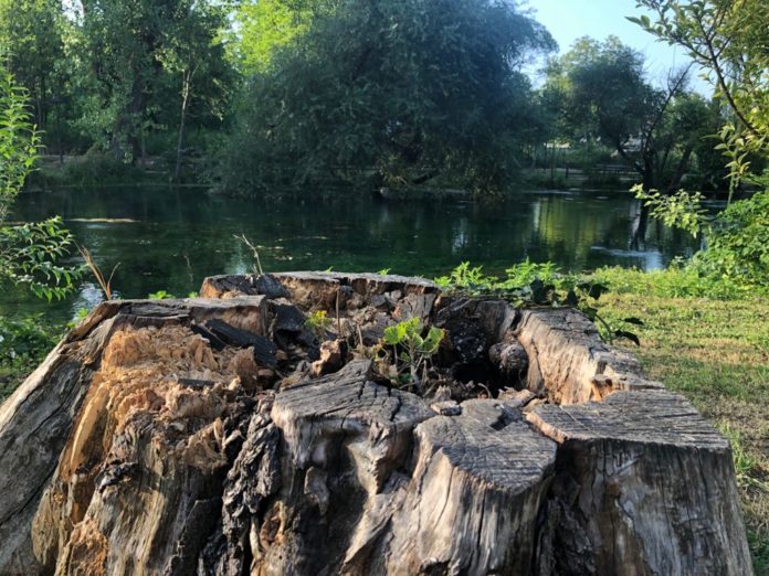 Area naturale Garigliano: Laghetto Parco dei Mulini