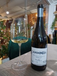 Camminera, Vermentino di Sardegna DOC, Cantina Audarya