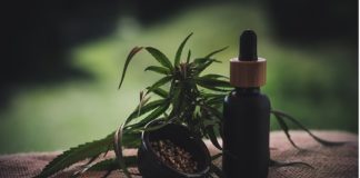 Olio CBD: usi e potenziali benefici Olio Cbd, cannabis