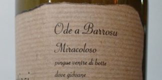 La Sardegna del Vermentino e del Cannonau. “Wine Specialists Journal”: meravigliosa terra accogliente e ospitale Ode a Barrosu Cannonau