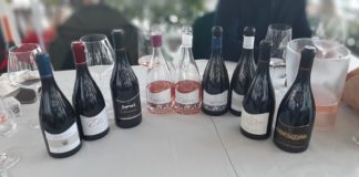Tra un metodo ancestrale e un Pinot nero impiantato in Puglia. “Wine Specialists Journal”: l’azienda Chiaromonte al Pelledoca di Trani Vini Chiaromonte