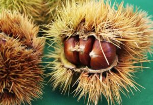 castagne