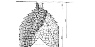 La misteriosa cisterna del “rospo idolatrato” all’interno delle mura ciclopiche dell’acropoli del Circeo Un'ipotesi tecnica per la cisterna del rospo idolatrato sul Circeo.
