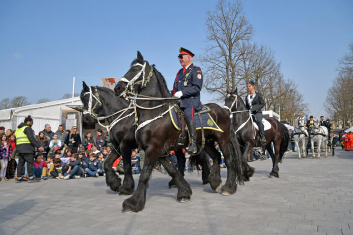 fiera di Lonigo