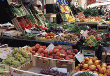 Mercato ortofrutta, arriva l’ok definitivo: Comune di Vicenza al lavoro per lo spostamento in piazza Green