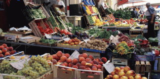 Mercato ortofrutta, arriva l’ok definitivo: Comune di Vicenza al lavoro per lo spostamento in piazza Green